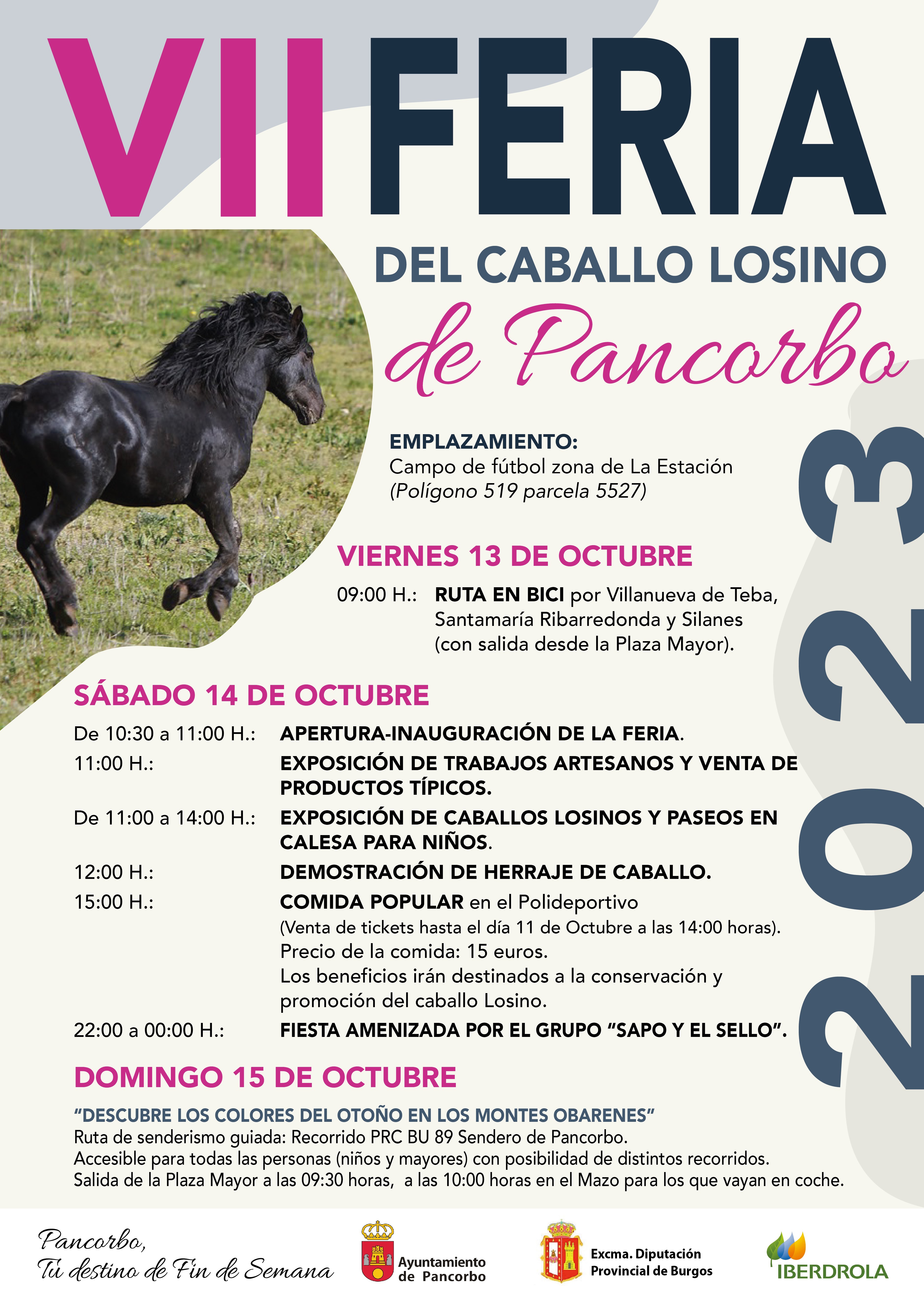 Cartel de la VII Feria del Caballo Losino de Pancorbo 