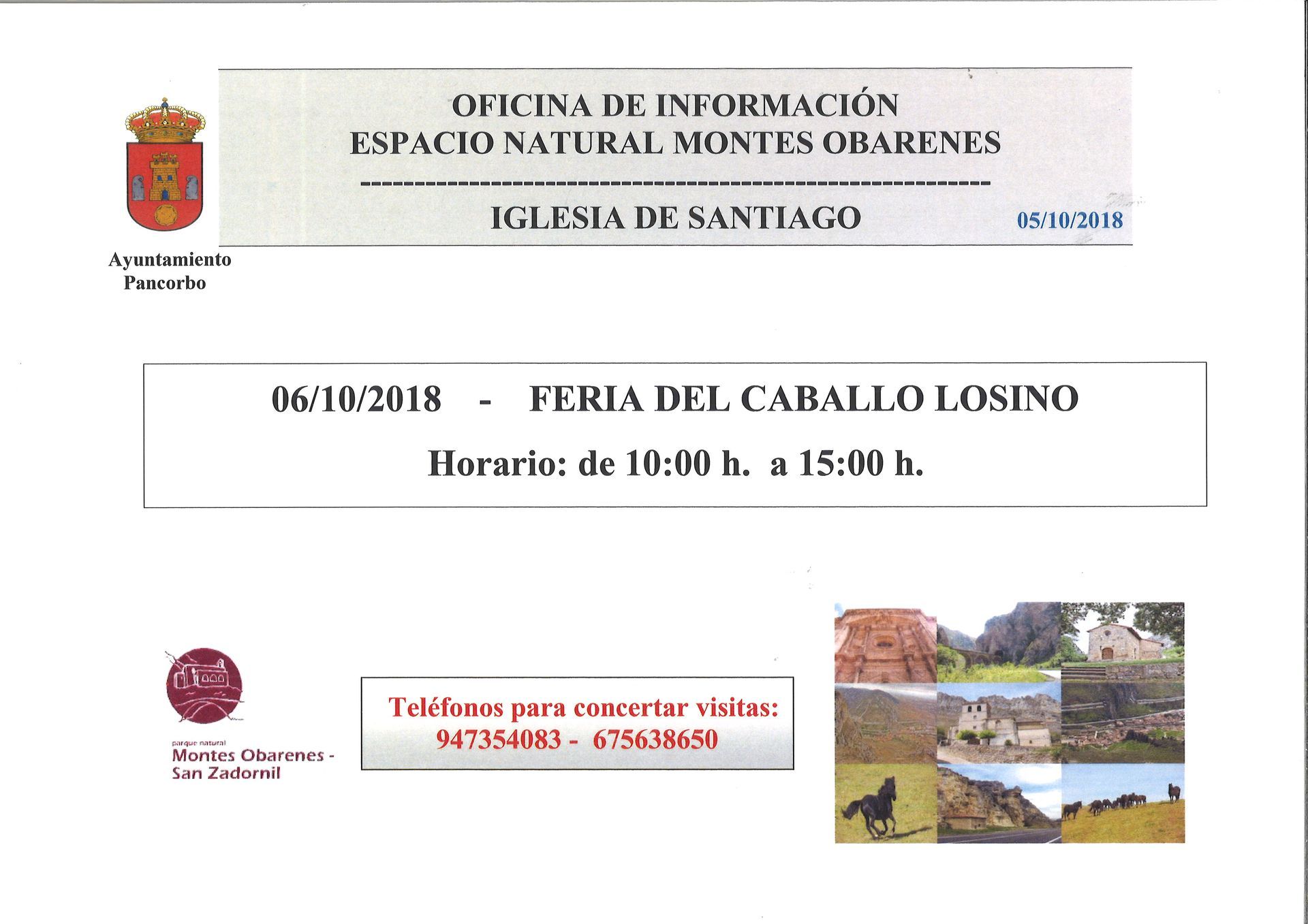 IV FERIA DEL CABALLO LOSINO DE PANCORBO (6 de octubre de 2018)